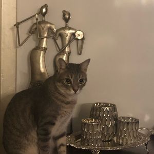 Meet your Posher, Selcan